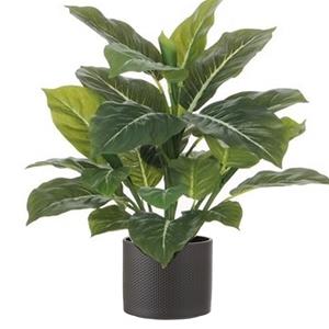Mica Decorations Groene Philodendron kunstplant 49 cm in bloempot antraciet Dia 15 cm -