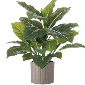 Mica Decorations Groene Philodendron kunstplant 49 cm in bloempot taupe Dia 15 cm -