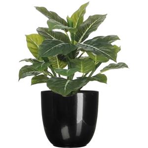 Mica Decorations Groene Philodendron kunstplant 49 cm in bloempot zwart Dia 14.5 cm -