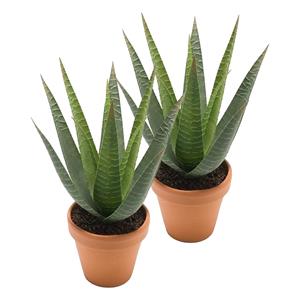 Merkloos Kunstplant Aloe Vera - 2x - groen - in terracotta pot - 23 cm -