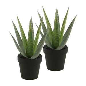 Merkloos Kunstplant Aloe Vera - 2x - groen - in zwarte pot - 23 cm -