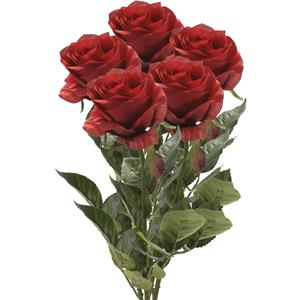 Emerald Kunstbloem roos Simone - 5x - rood - 73 cm - decoratie bloemen -