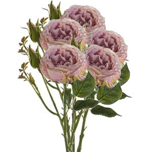 Emerald Kunstbloem roos Anne - 5x - paars - cm - decoratie bloemen -