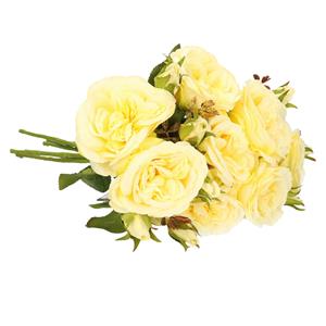 TopArt Kunstbloemen boeket roos Little Joy - 8x - geel - cm - kunststof steel - decoratie bloemen -