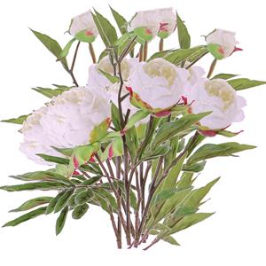 TopArt Kunstbloem pioenroos Spring Dream - 5x - wit - 73 cm - kunststof steel - decoratie -