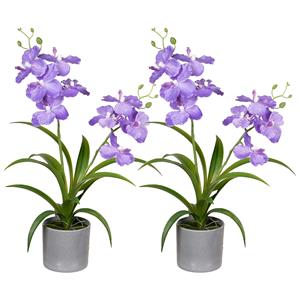 Louis Maes Orchidee bloemen kunstplant in bloempot - 2x - paars bloemen - H38 cm -