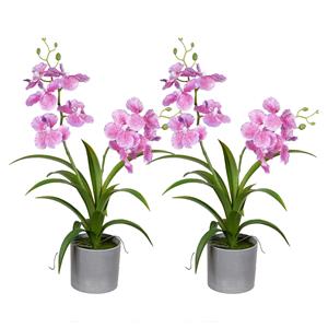 Louis Maes Orchidee bloemen kunstplant in bloempot - 2x - roze bloemen - H38 cm -