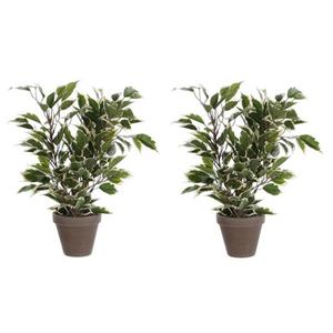 Merkloos Mica Decorations Kunstplant Ficus - 2x - cm - groene kamerplant -