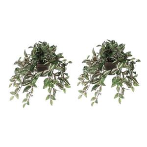 Mica Decorations 2x Groene Tradescantia/vaderplant kunstplanten 45 cm in pot -