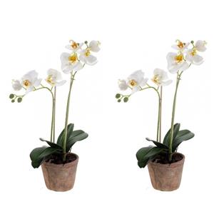 Merkloos Bellatio flowers & plants Kunstplant Orchidee - Set van 2x stuks - wit - H42 cm - in pot - Decoratie -
