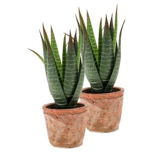 Merkloos Kunstplant Aloe Vera - 2x - groen - in oude terracotta pot - 23 cm -