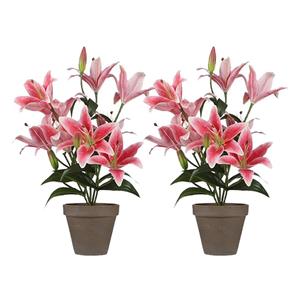 Shoppartners 2x Fuchsia roze Tigerlily/tijgerlelie kunstplanten 47 cm -