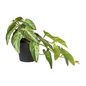 Xenos Kunstplant syngonium - 17 cm