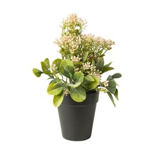 Xenos Kunstplant kalanchoe - roze - 24 cm