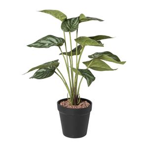 Xenos Kunstplant syngonium - 36 cm