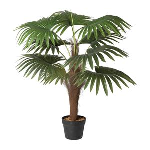 Xenos Kunstplant Chinese waaierpalm - 90 cm