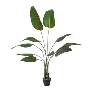 Xenos Kunstplant strelitzia - 160 cm
