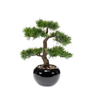 Bellatio flowers & plants Kunstplant - Bonsai Boom - Cedar - In Zwarte Pot - 16 cm -
