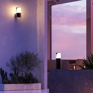 Forlight buitenwandlamp Astra, antraciet, aluminium, breedte 9 cm