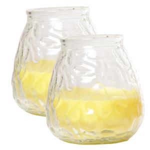 Cosy & Trendy Citronella lowboy tafelkaars - 2x - 10 cm - branduren - citrusgeur -