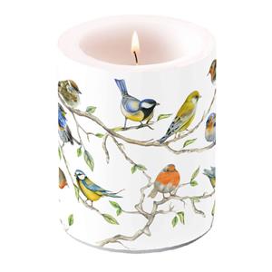 Ambiente Kaars Vogels Brand Naar Binnen 75 Branduren