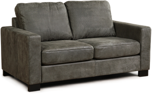 SHOPX HUISCOLLECTIE Leren bank Energy, 2-zitsbank - Echt leer, Modern, Comfortabel en kies uit meer dan 150+ kleuren - Ontdek de Vele Leersoorten en Kleuren bij ShopX