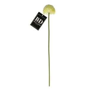 Bellatio Design Allium/Sierui Globemaster kunstbloem - losse steel - creme - cm - Natuurlijke uitstraling -