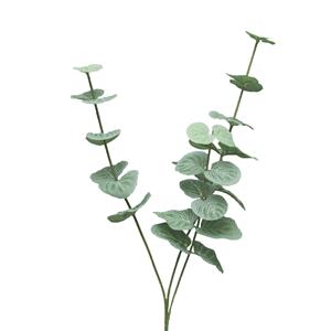 Bellatio Design Kunstbloem/kunsttak Eucalyptus Cinera - cm - 3 takken - kunst zijdebloemen -