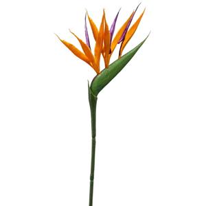 Emerald Kunstbloem Strelitzia - 65 cm - losse tak - kunst zijdebloem - Paradijsvogelplant - decoratie -