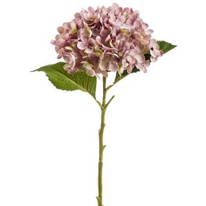 Emerald Kunstbloem Hortensia tak - Annabelle - 52 cm - paars - Kunst zijdebloem - Hydrangea -