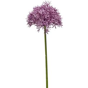 Emerald Allium/Sierui kunstbloem - losse steel - paars - 62 cm - Natuurlijke uitstraling -
