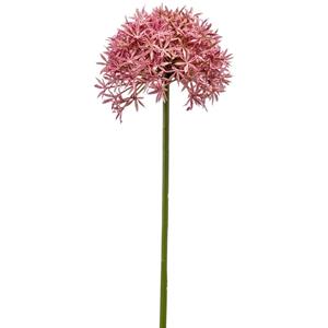 Emerald Allium/Sierui kunstbloem - losse steel - roze - 62 cm - Natuurlijke uitstraling -