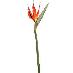 Emerald Kunstbloem Strelitzia - 85 cm - losse tak - kunst zijdebloem - Paradijsvogelplant - decoratie -