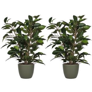 Mica Decorations 2x stuks groene ficus kunstplant cm met plantenpot dennengroen D13.5 en H12.5 cm -