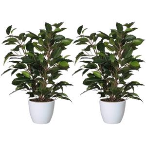 Mica Decorations 2x stuks groene ficus kunstplant cm met plantenpot glanzend wit D13.5 en H12.5 cm -