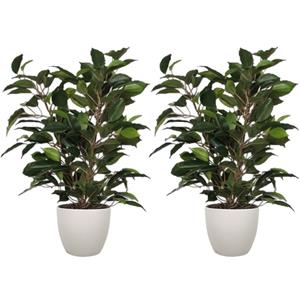 Mica Decorations 2x stuks groene ficus kunstplant cm met plantenpot taupe D13.5 en H12.5 cm -