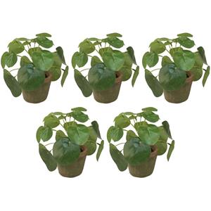 Bellatio flowers & plants Kunstplant pilea/pannekoekplant - 5x - mini - groen - in pot - 13 cm -