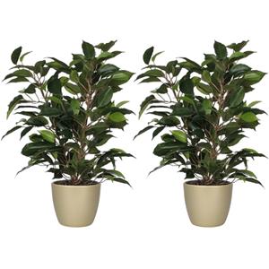 Mica Decorations 2x stuks groene ficus kunstplant cm met plantenpot parelgoud D13.5 en H12.5 cm -