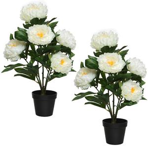 Everlands 2x stuks kunst pioenroos in pot - H57 cm - wit - kunst struik -