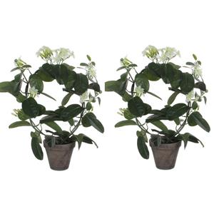 Mica Decorations Kunstplant - 2x stuks - Stephanotis bruidsbloem - wit - H50 x D40 cm -