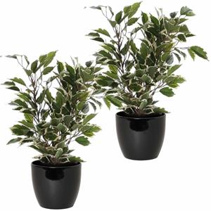 Mica Decorations 2x stuks groen/witte ficus kunstplanten cm met plantenpot zwart D13.5 en H12.5 cm -