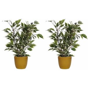 Mica Decorations 2x stuks groen/witte ficus kunstplant cm met plantenpot okergeel D13.5 en H12.5 cm -