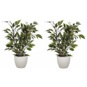 Mica Decorations 2x stuks groen/witte ficus kunstplant cm met plantenpot taupe D13.5 en H12.5 cm -