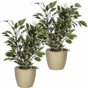 Mica Decorations 2x stuks groen/witte ficus kunstplanten cm met plantenpot parelgoud D13.5 en H12.5 cm -