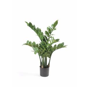 Bellatio flowers & plants Kunstplant Zamioculcas/kamerpalm 70 cm -