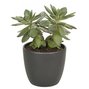 Bellatio flowers & plants Hortensia kunstplant met bloemen wit - in pot antraciet grijs - cm hoog -