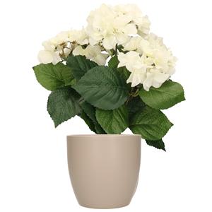Bellatio flowers & plants Hortensia kunstplant met bloemen wit - in pot taupe - cm hoog -