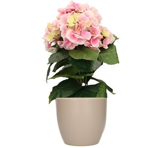 Bellatio flowers & plants Hortensia kunstplant met bloemen lichtroze - in pot taupe - cm hoog -