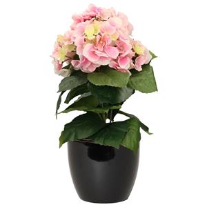 Bellatio flowers & plants Hortensia kunstplant met bloemen lichtroze - in pot zwart - cm hoog -