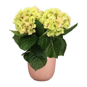 Merkloos Hortensia kunstplant/kunstbloemen cm - groen/roze - in pot lichtroze glans -